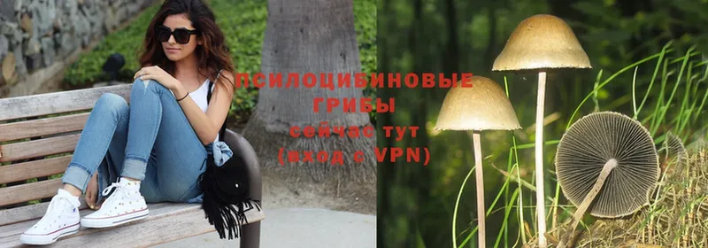 Галлюциногенные грибы Magic Shrooms  Кизилюрт 